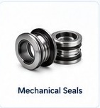 Mechanical Seals